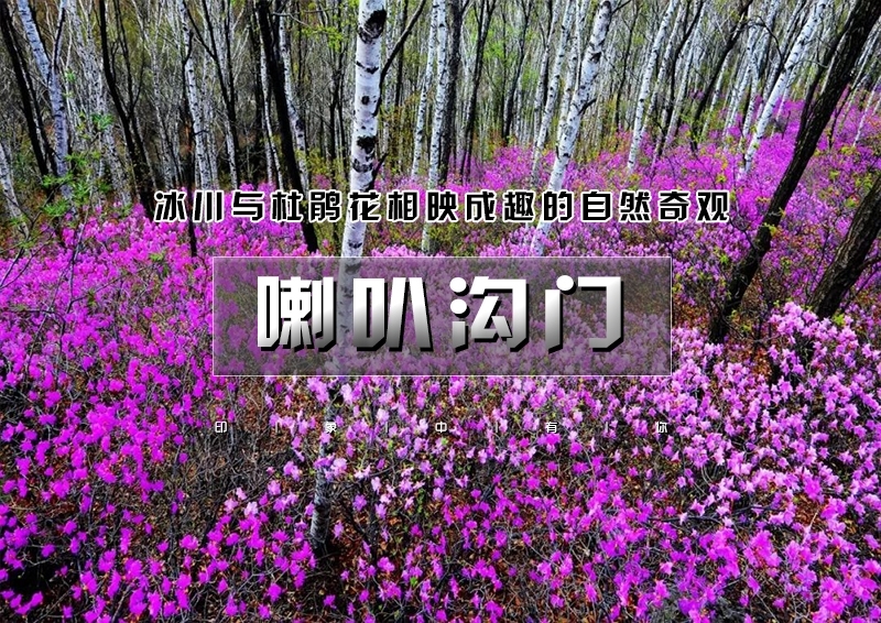 印象头图模版D.jpg