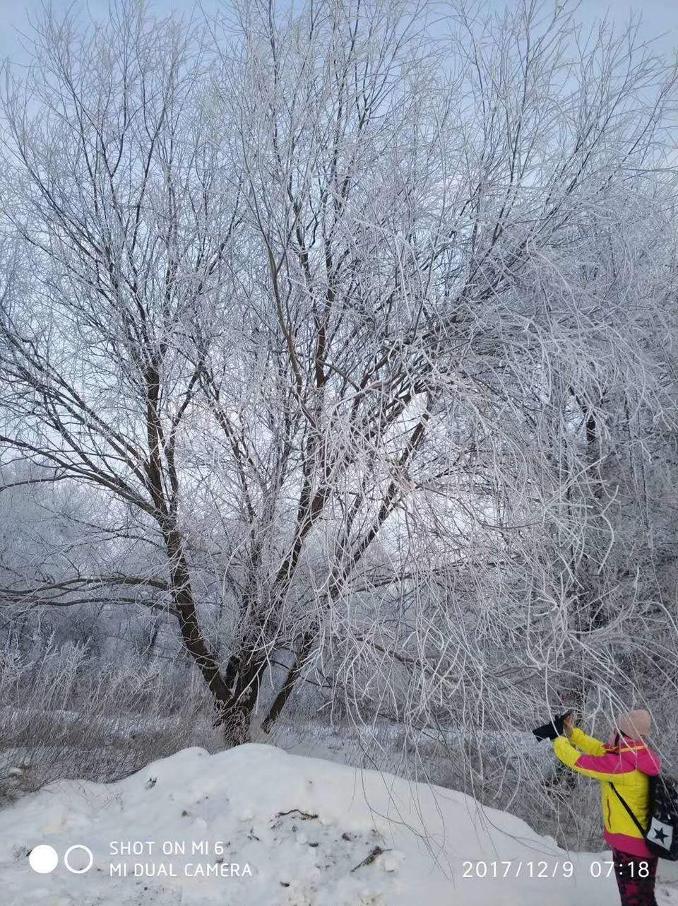 微信图片_20171214224614