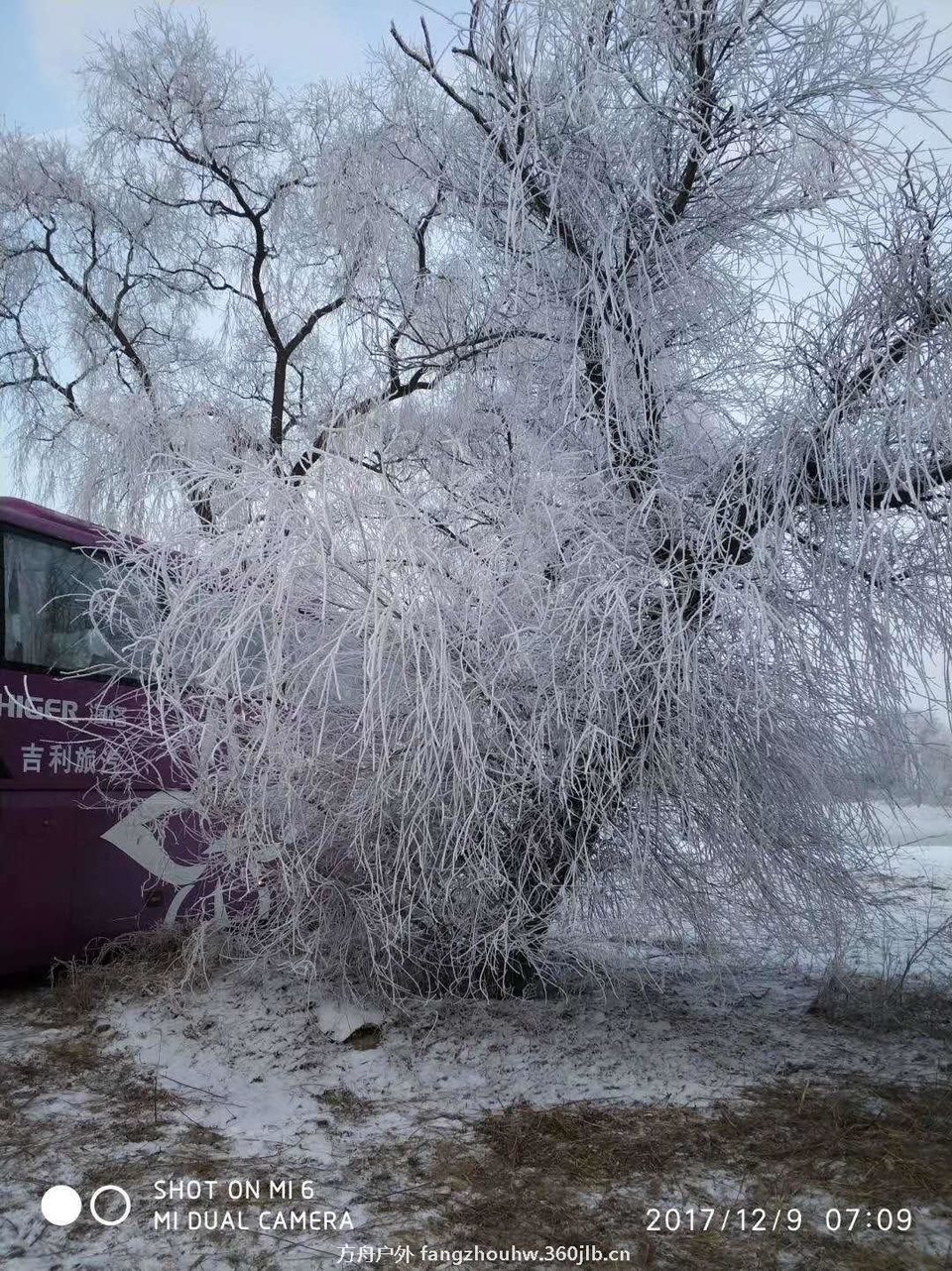 微信图片_20171214224623