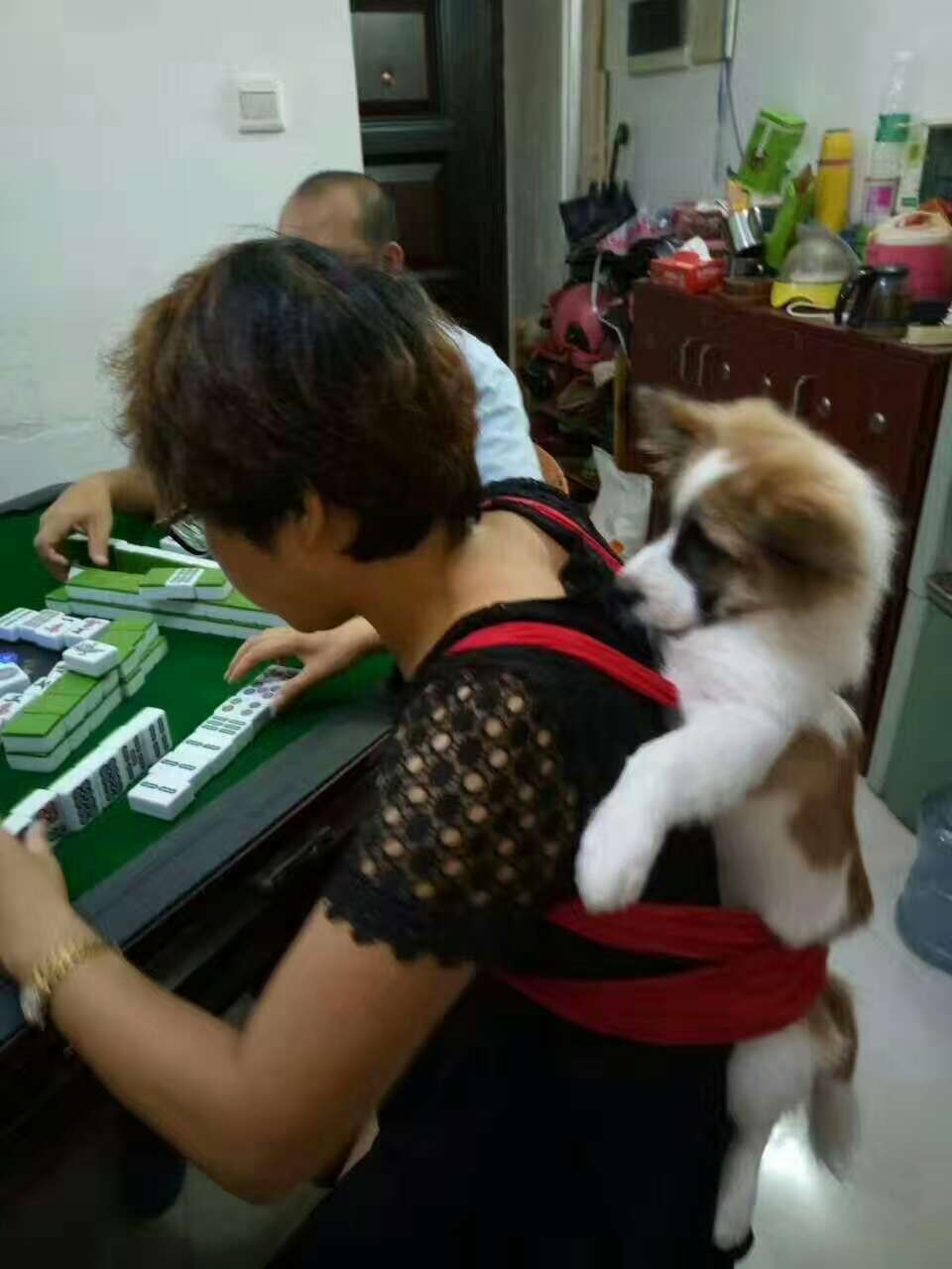 微信图片_20180110225533