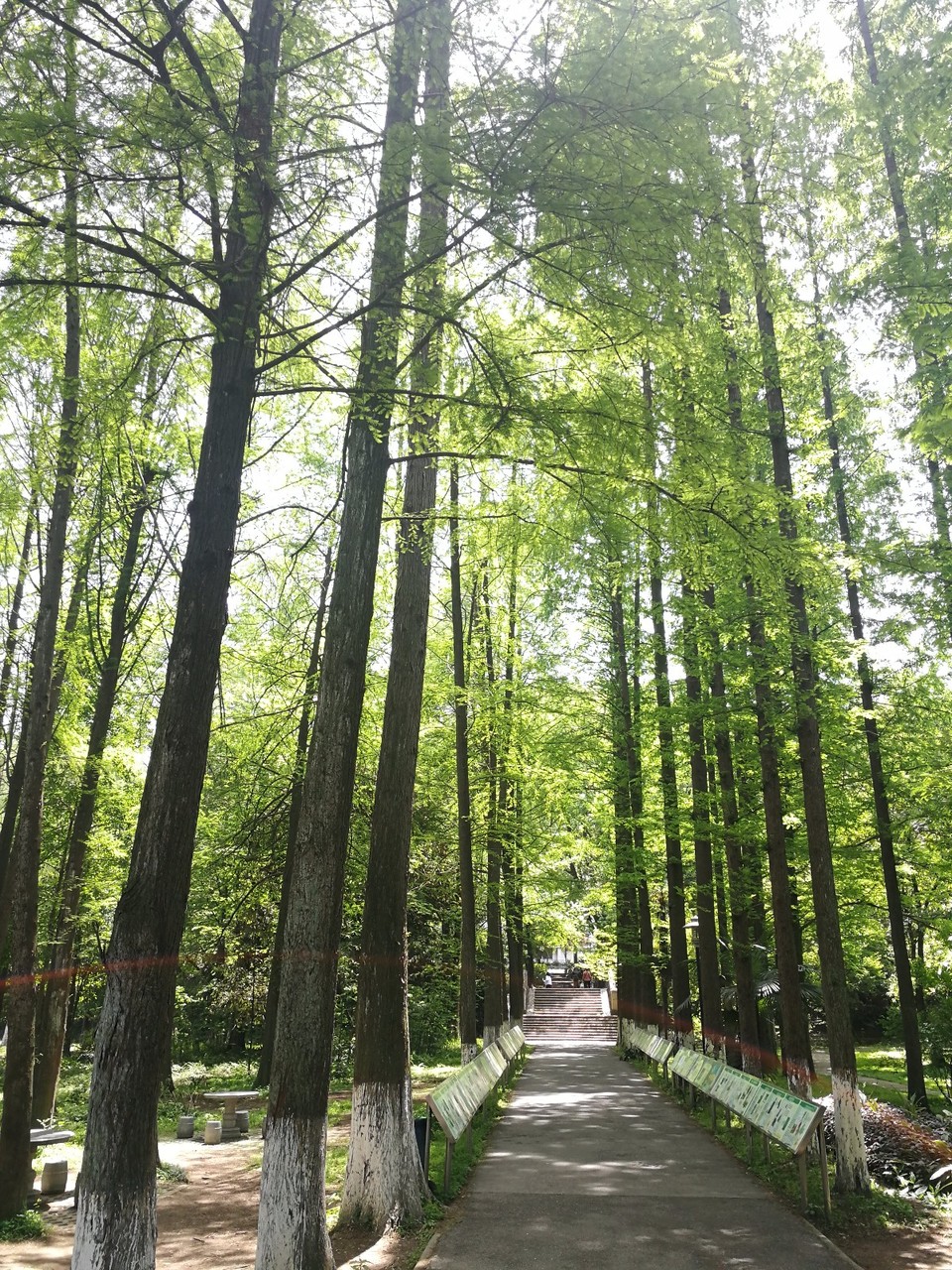 中国科学院武汉植物园