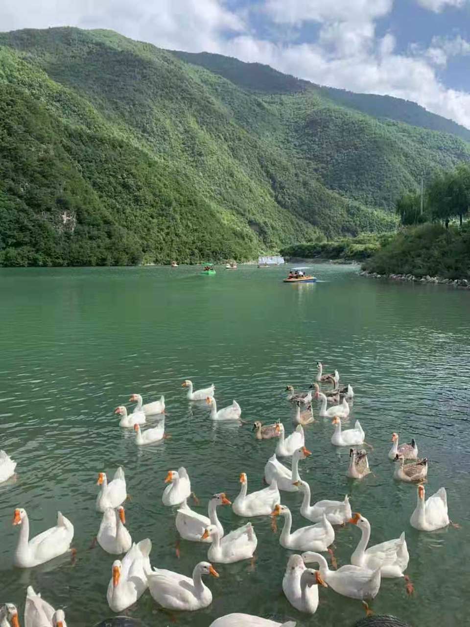 微信图片_20190730075730