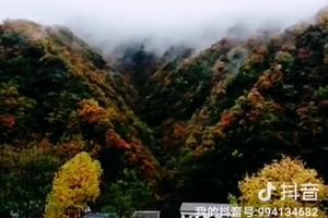 神农架的美，在秋天