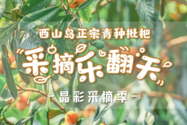 「西山休闲」5.27日苏州西山岛枇杷采摘，小九寨无机坑徒步