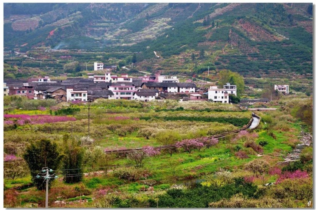 【十里芳菲】3月10～11日:阳春三月,乐昌九峰,赏万亩桃花李花