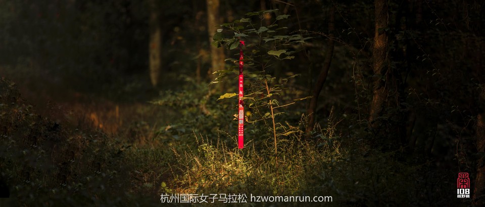 mmexport1509198216132