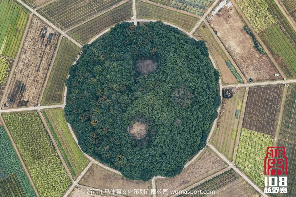 mmexport1544700990229