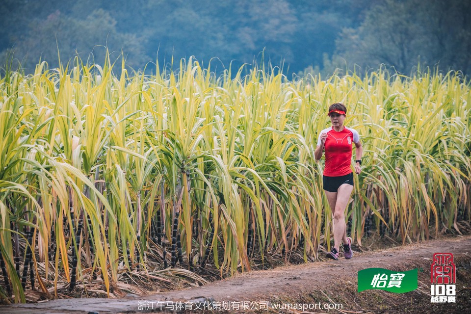 mmexport1573129092319