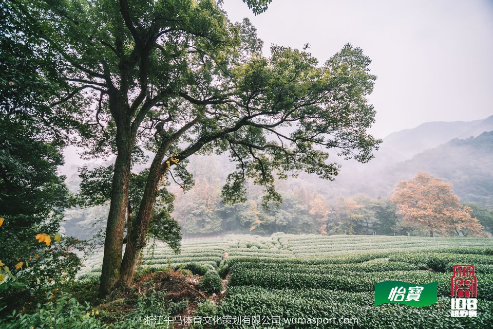 mmexport1573129324042