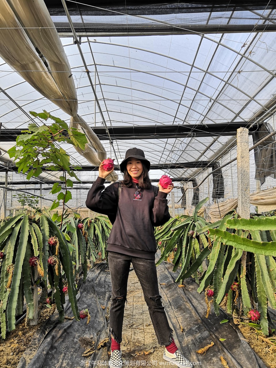 mmexport1573194236603