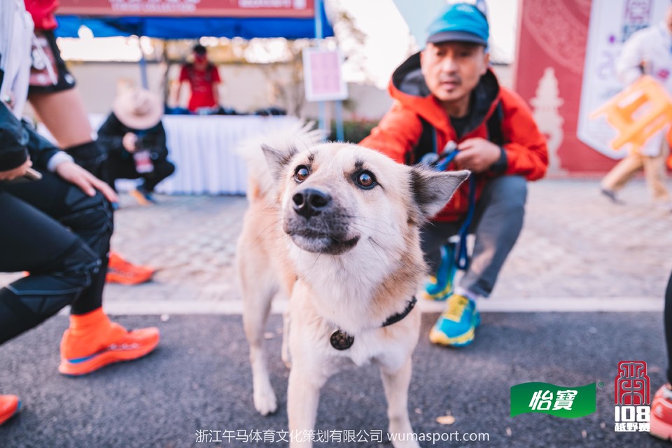 mmexport1573259750867