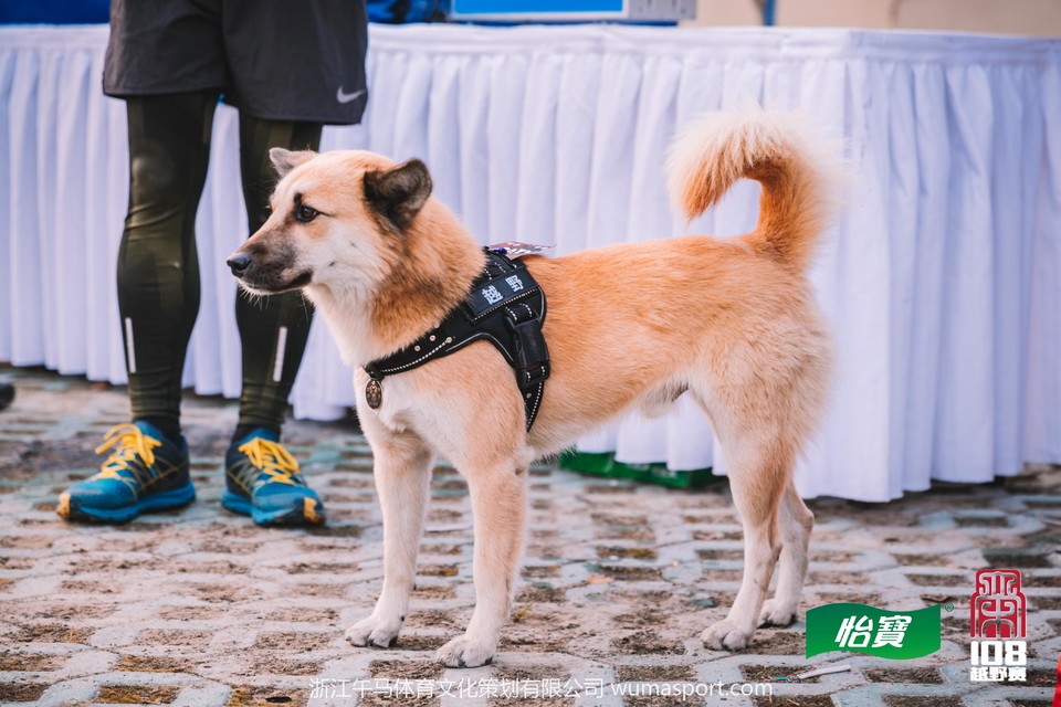 mmexport1573259773380