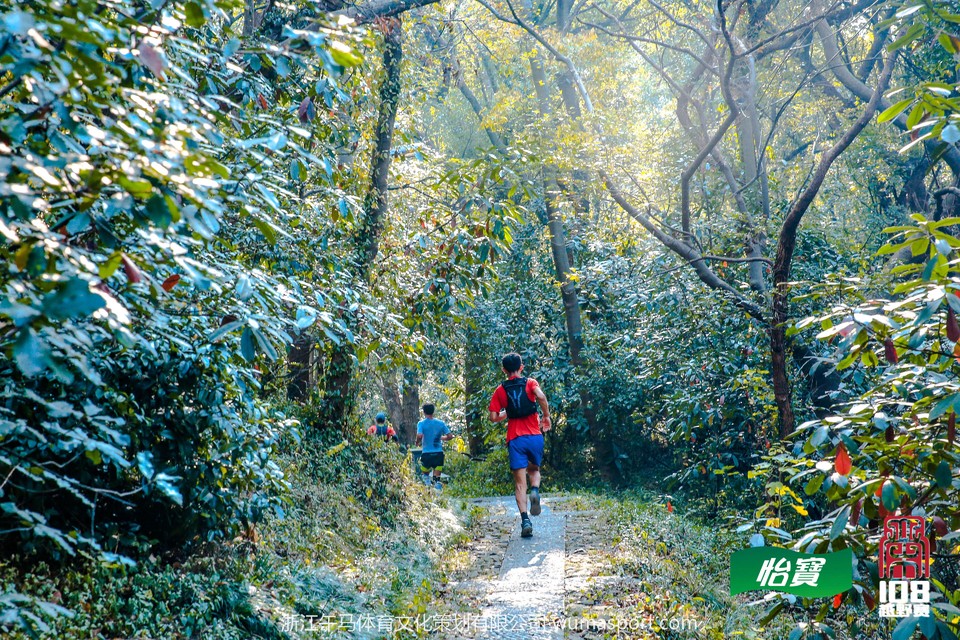 mmexport1573269073004