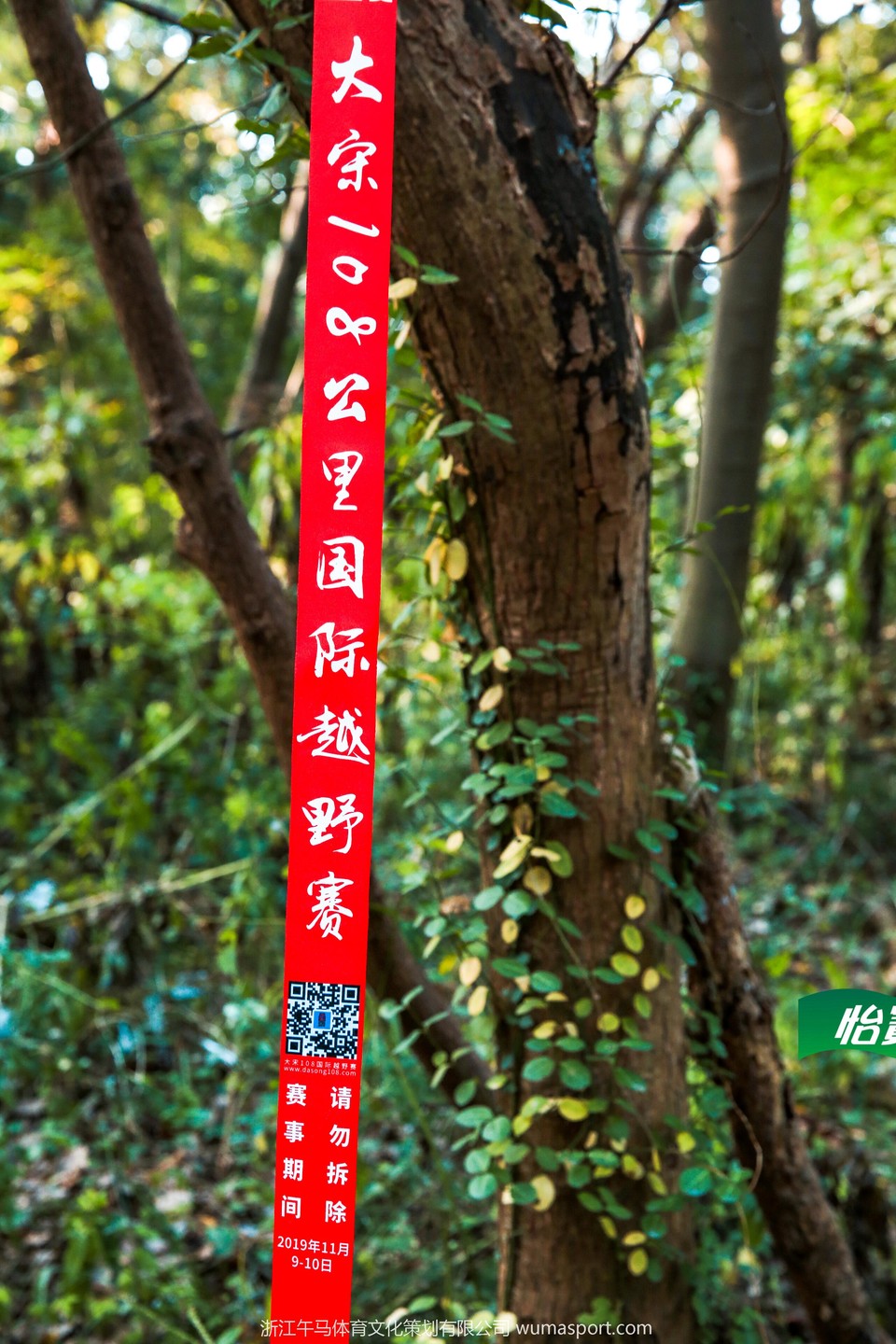 mmexport1573269247071