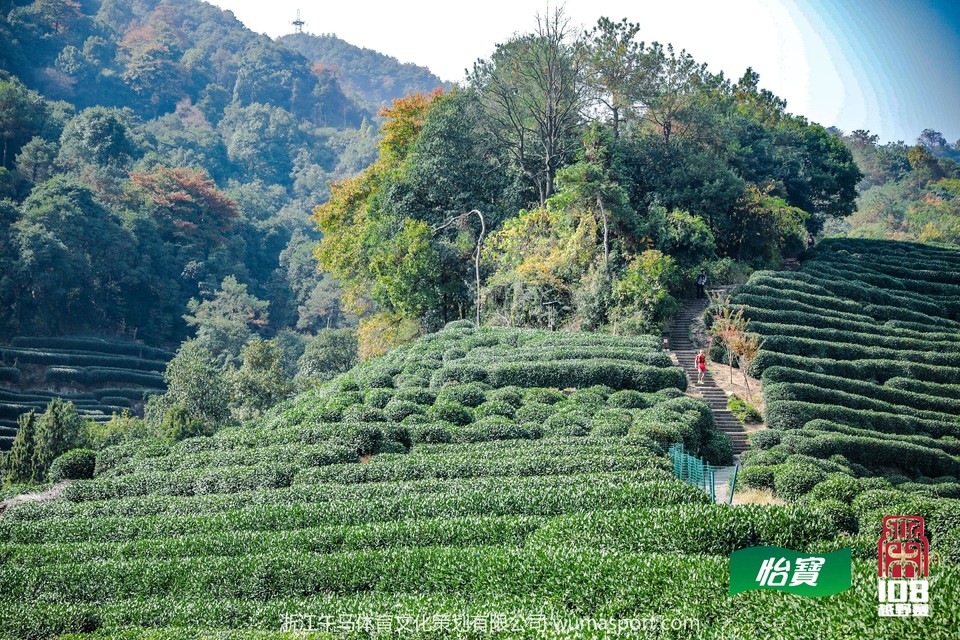 mmexport1573276616041