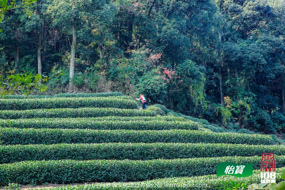 mmexport1573290316504