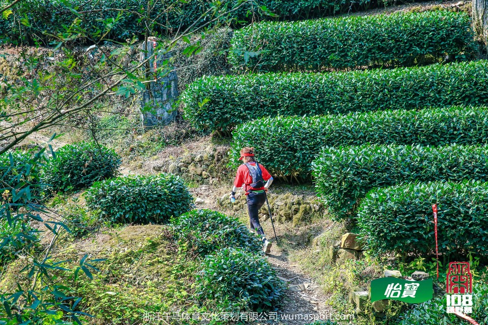 mmexport1573290372481