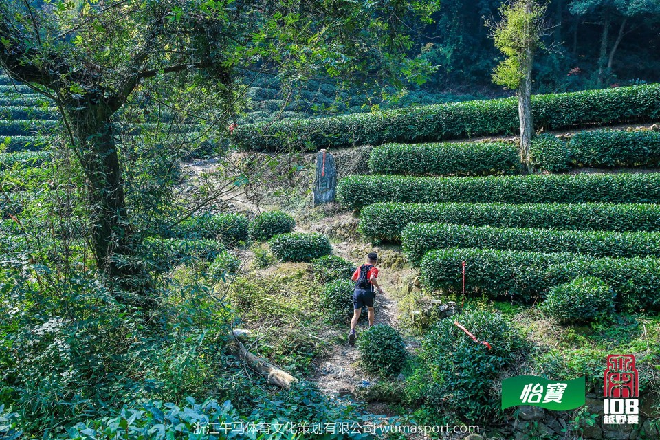 mmexport1573290387257