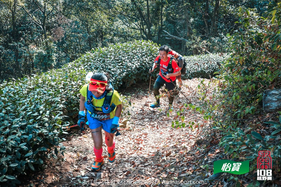 mmexport1573290901813