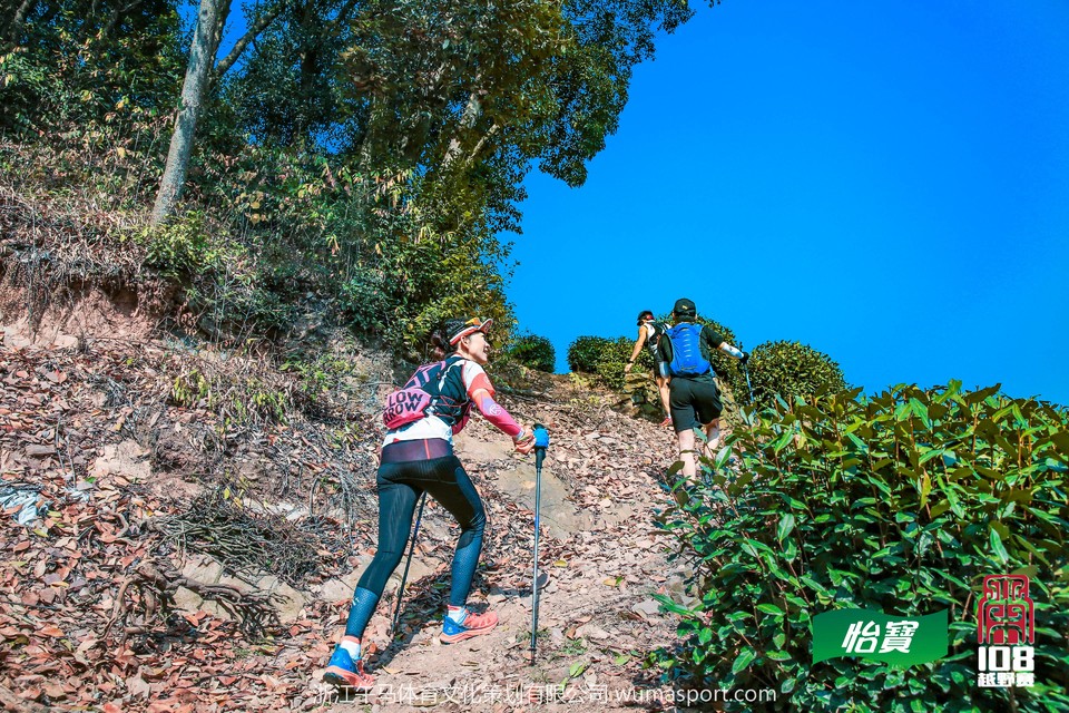 mmexport1573290963146