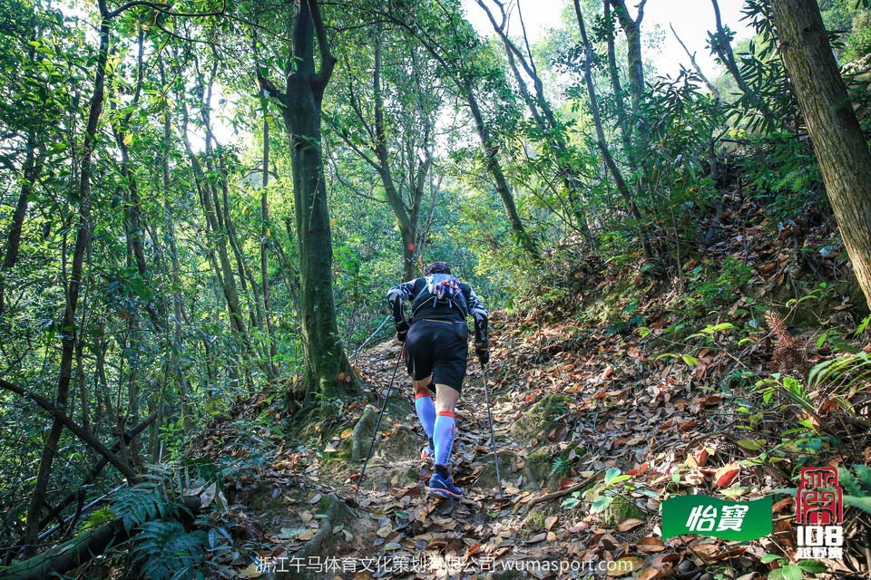 mmexport1573291018426