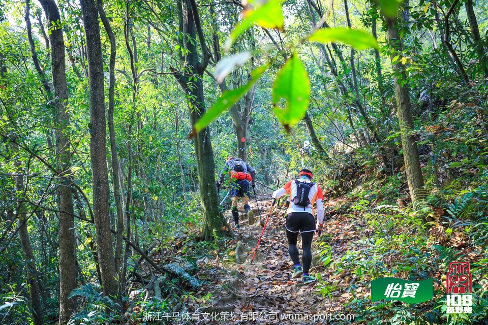 mmexport1573291045727