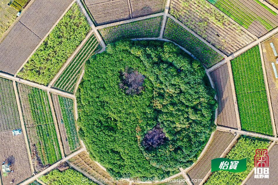 mmexport1573291086381