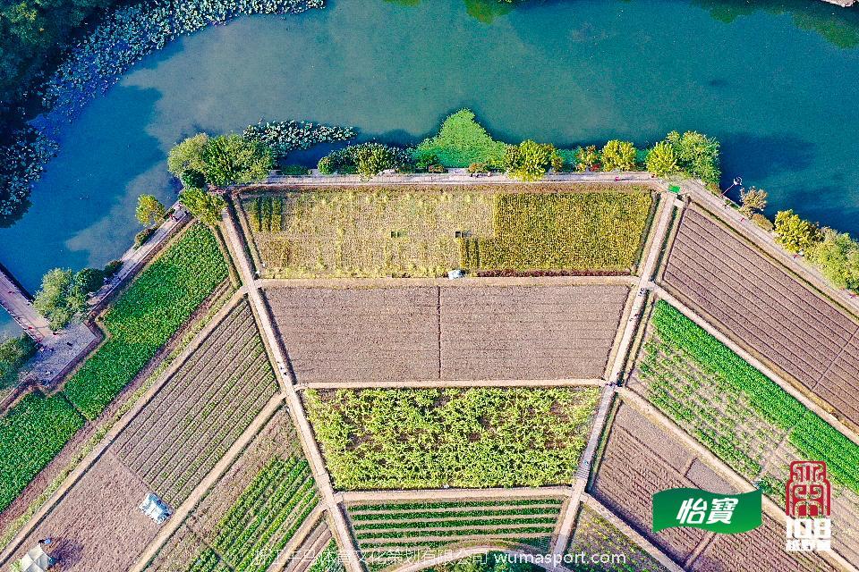 mmexport1573291096671