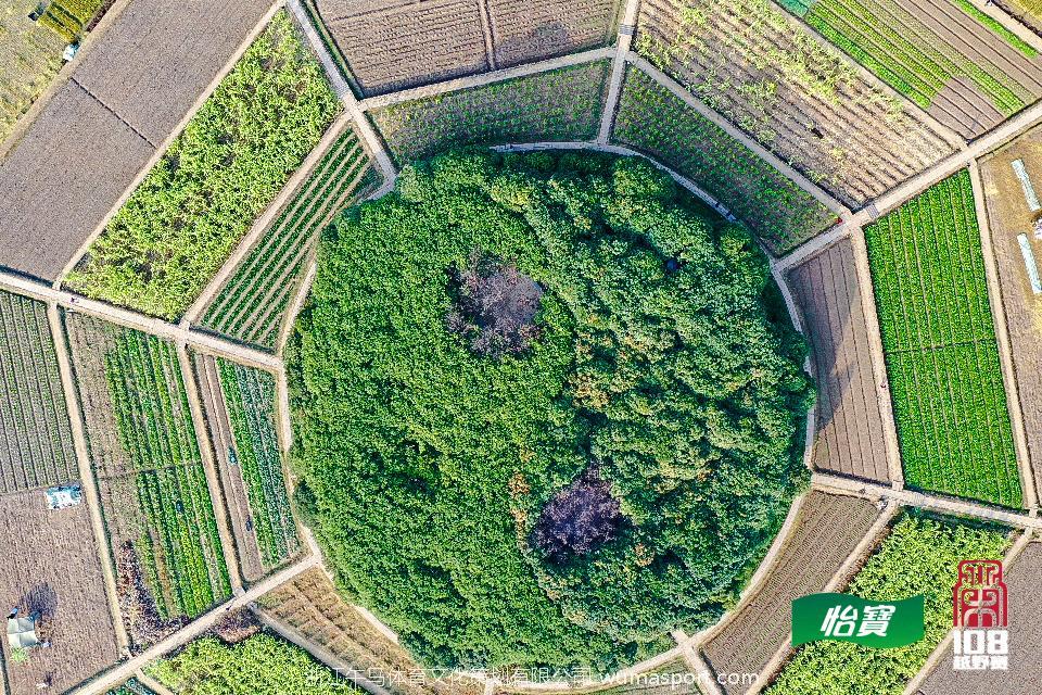 mmexport1573291099930