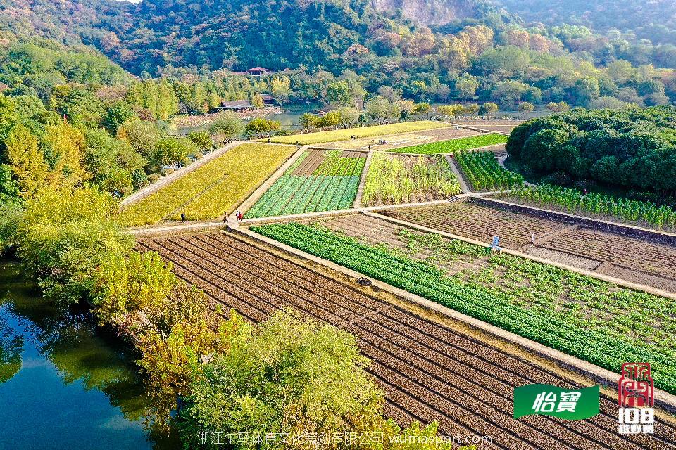 mmexport1573291102082