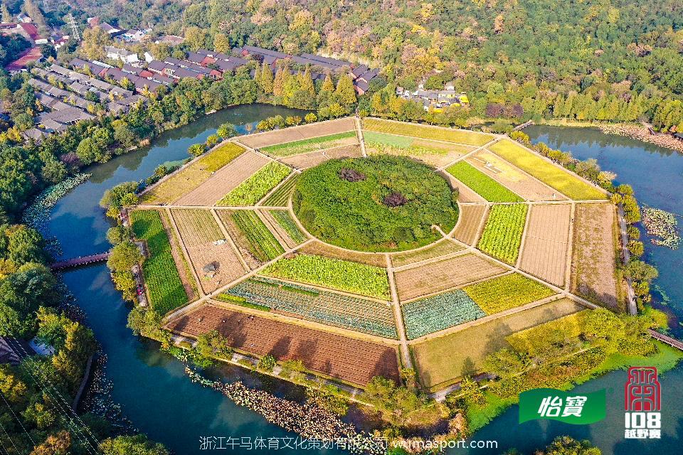 mmexport1573297938272