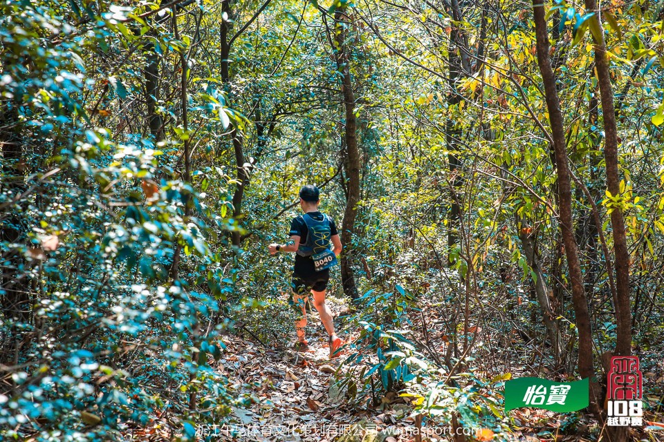 mmexport1573297979747