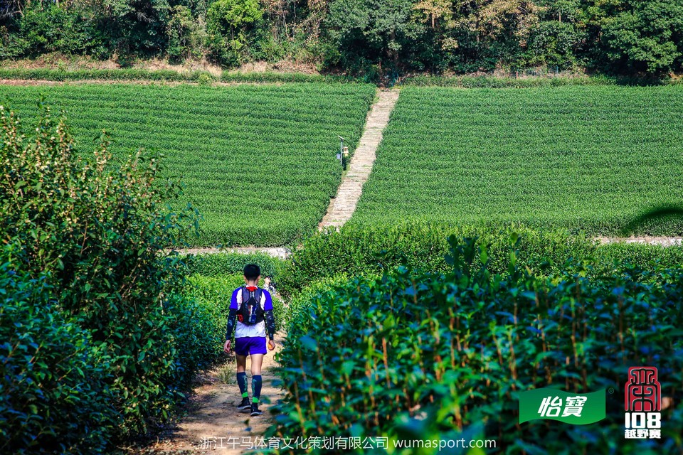 mmexport1573298013019