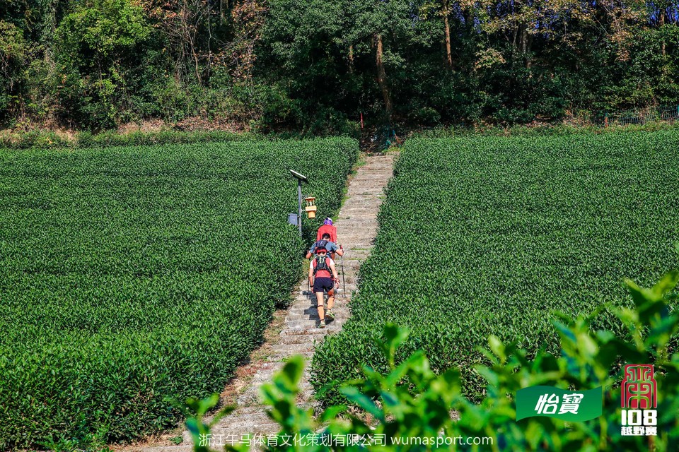 mmexport1573298018958