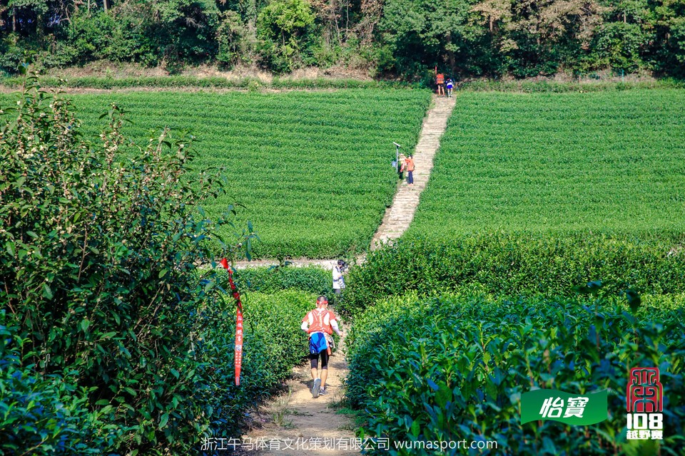 mmexport1573298027761