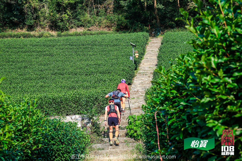 mmexport1573298042168