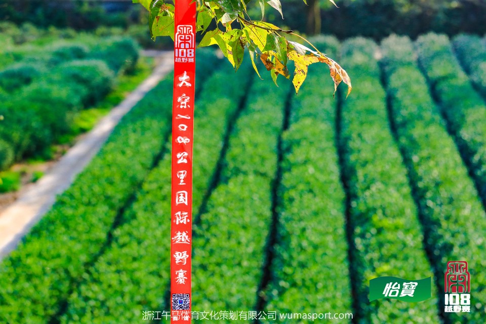 mmexport1573298051866