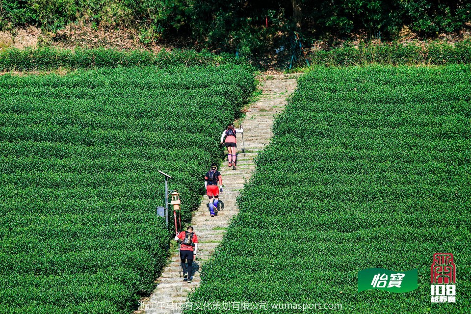 mmexport1573298069178