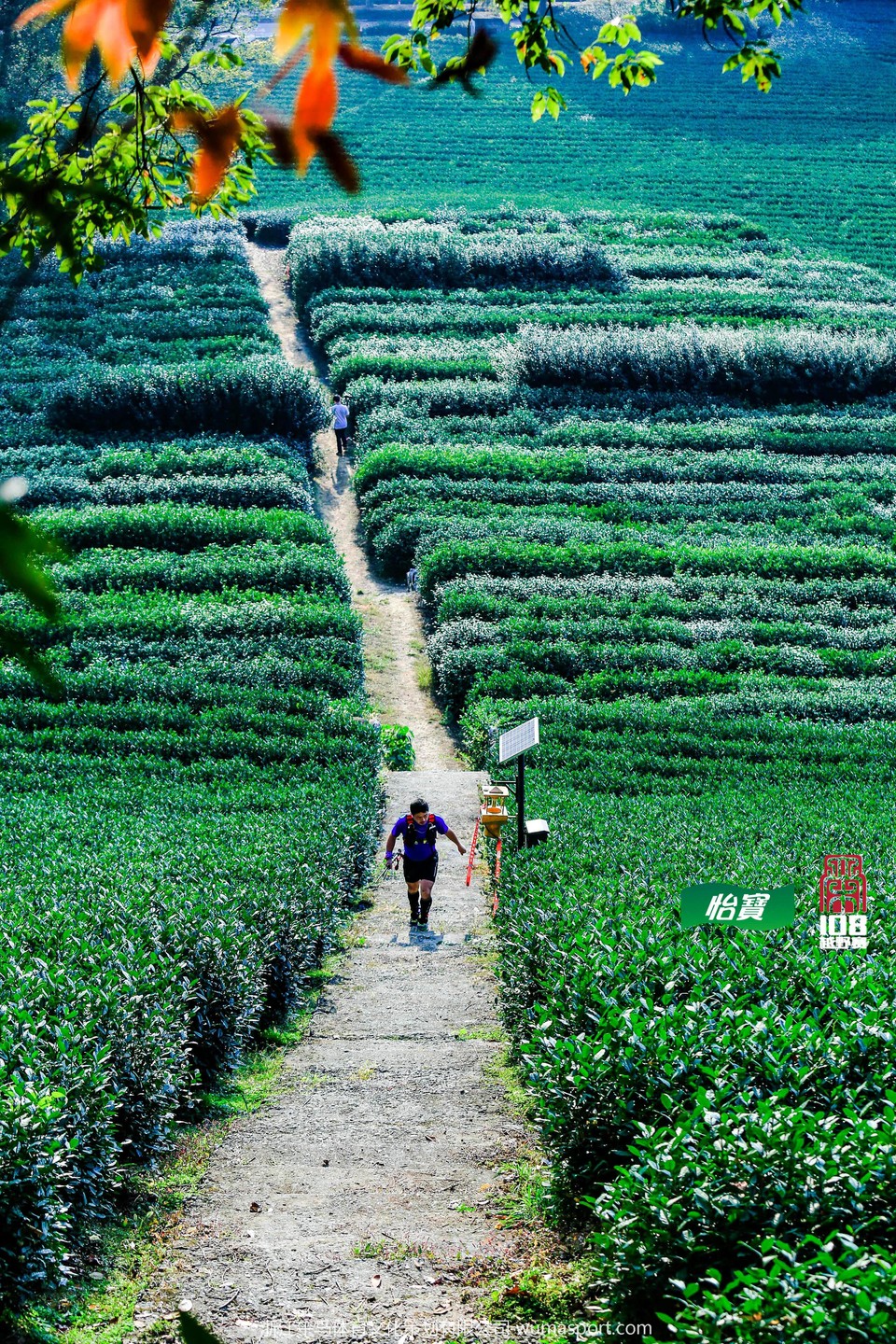 mmexport1573298087560