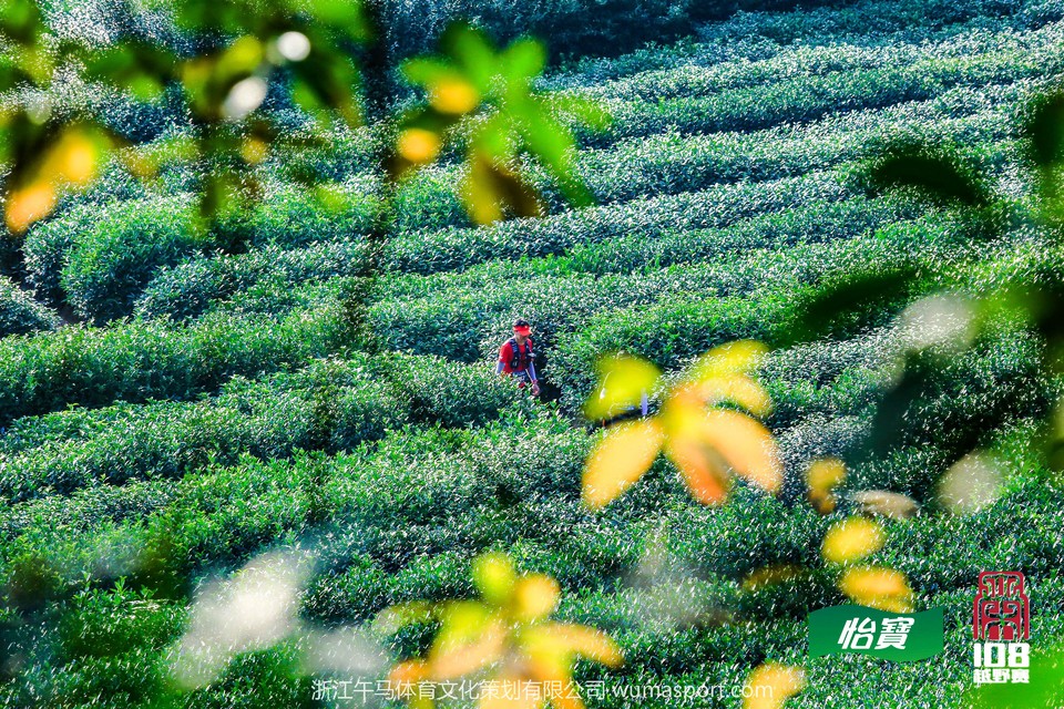 mmexport1573298102105