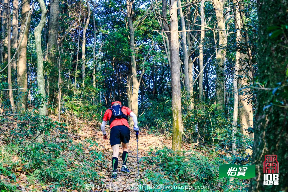 mmexport1573298123108