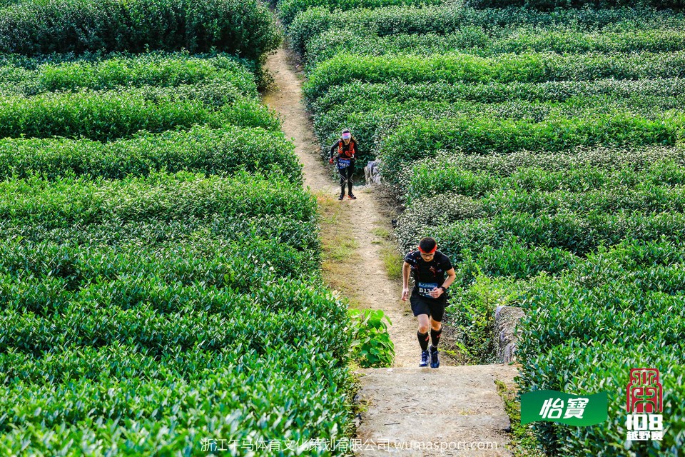 mmexport1573298127131