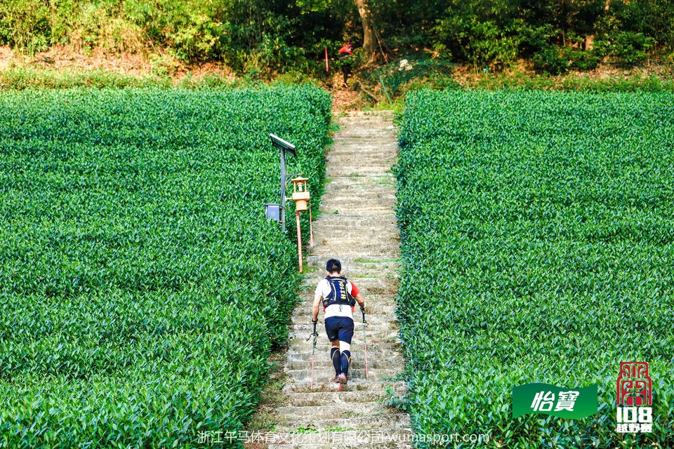 mmexport1573298129503