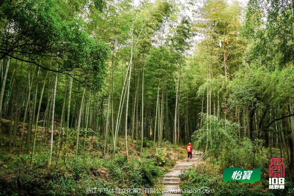 mmexport1573298153763