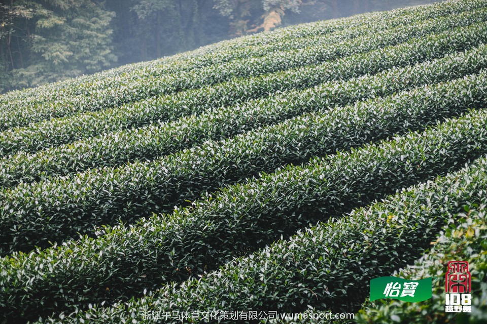 微信图片_201911072037561