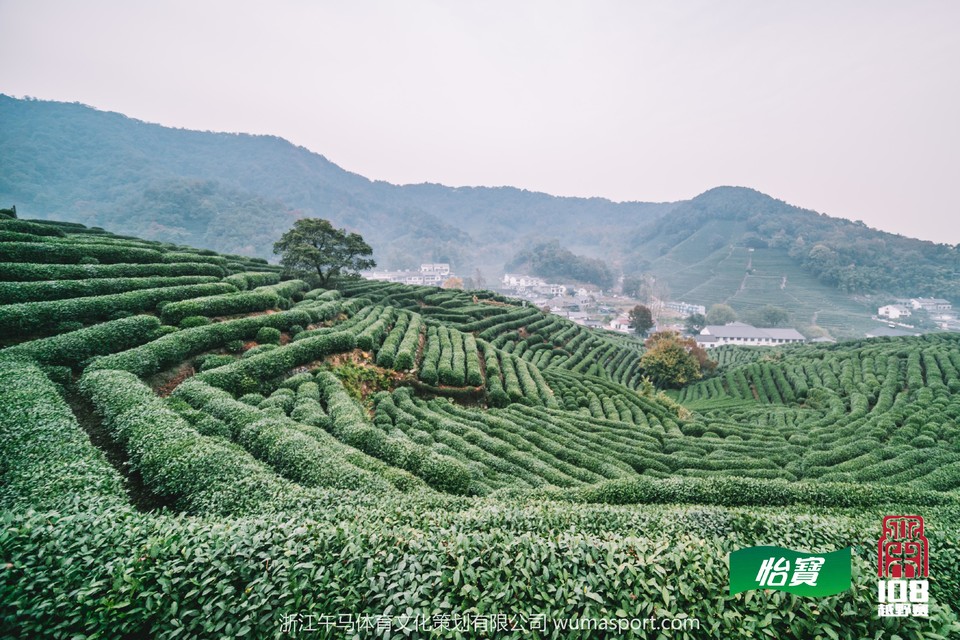 微信图片_201911072037564