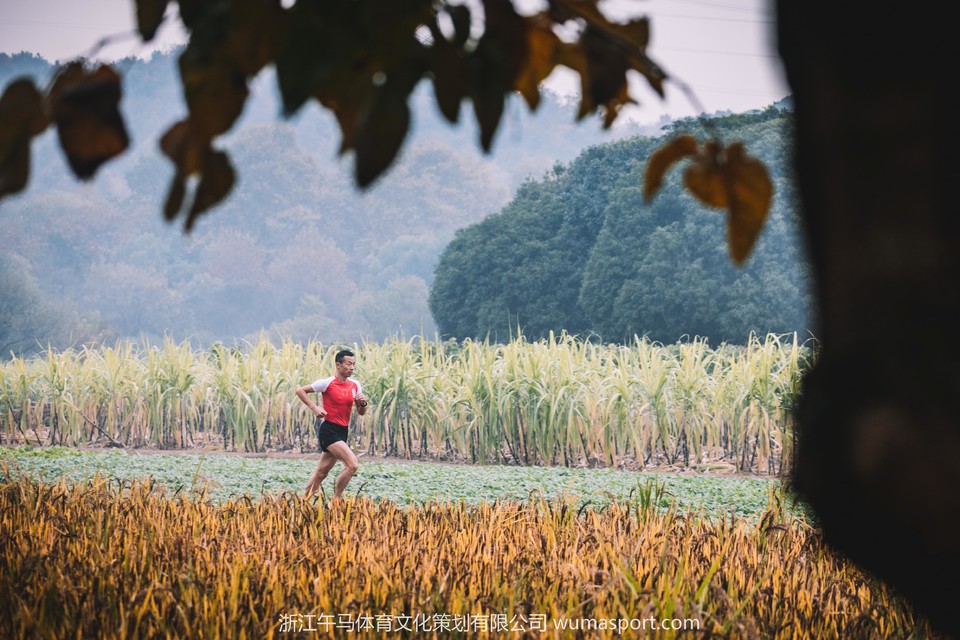 微信图片_201911072058233