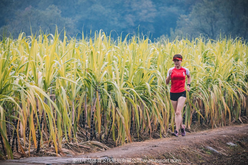 微信图片_201911072058234