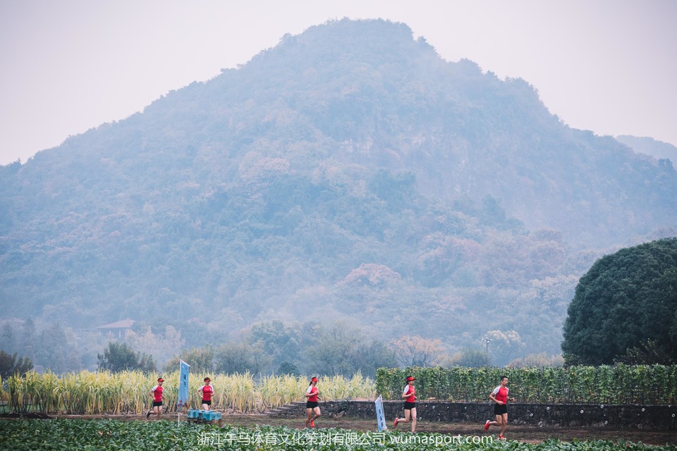 微信图片_201911072058235