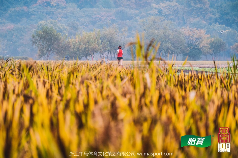 微信图片_2019110720375619